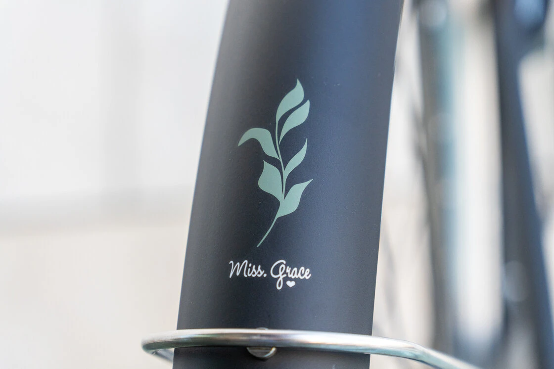 Rower miejski Gazelle Miss Grace Black Mat 59