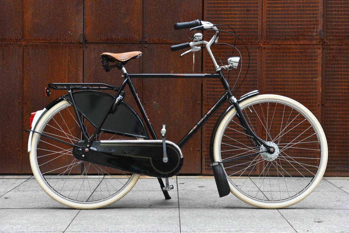 Rower miejski Gazelle Toer Populair R7T Męski