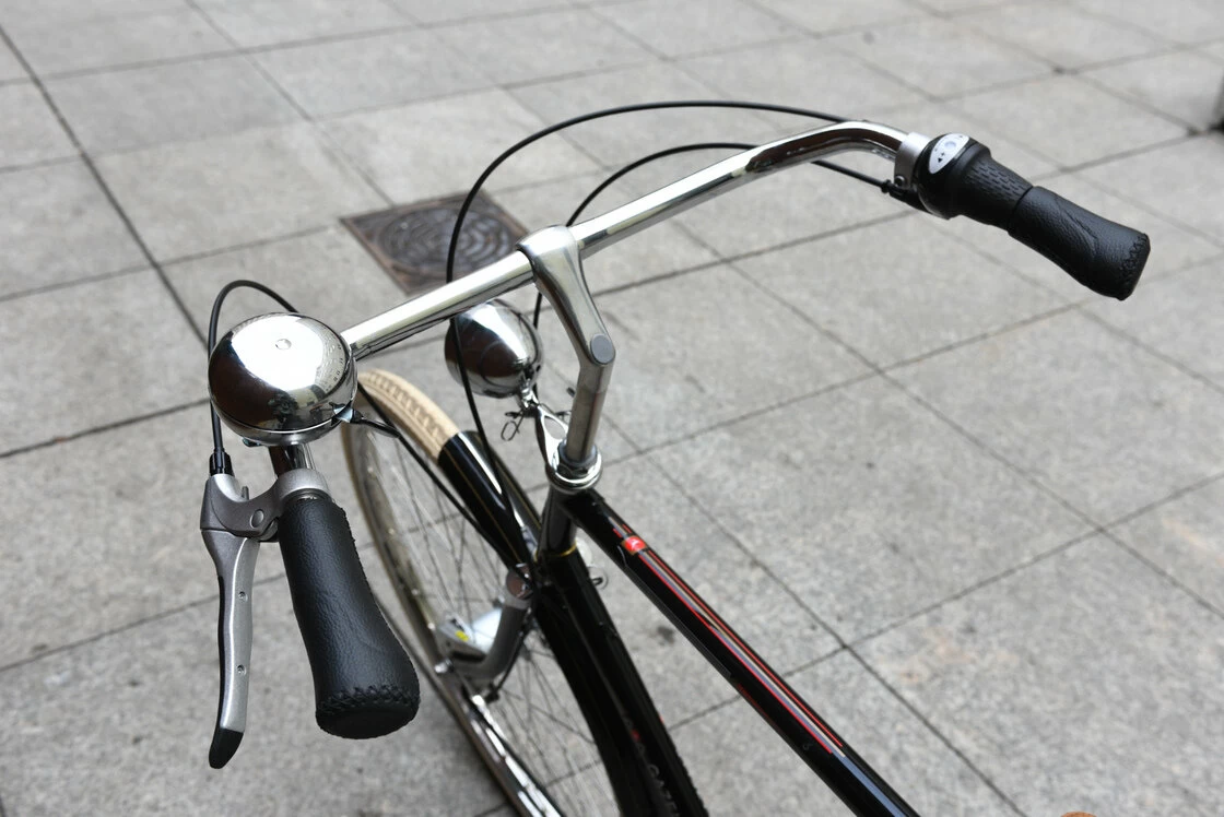 Rower miejski Gazelle Toer Populair R7T Męski