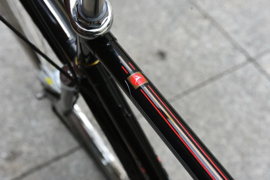 Rower miejski Gazelle Toer Populair R7T Męski