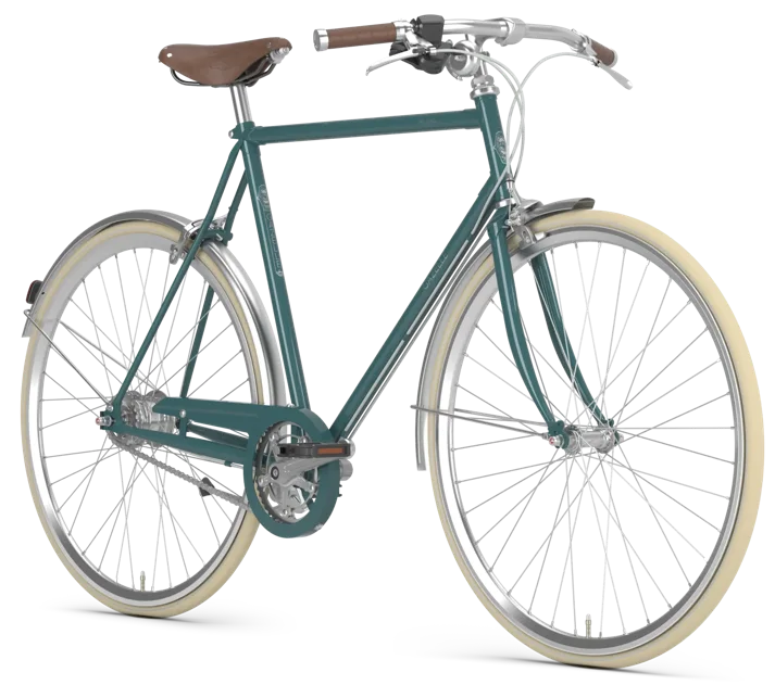 Rower miejski Gazelle Van Stael Męski Eyes Green