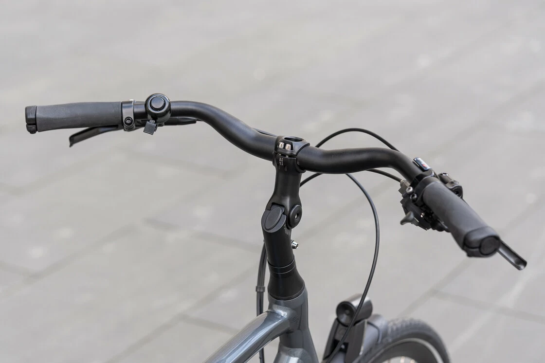 Rower na pasku Batavus Dinsdag Exclusive Plus Alfine 11