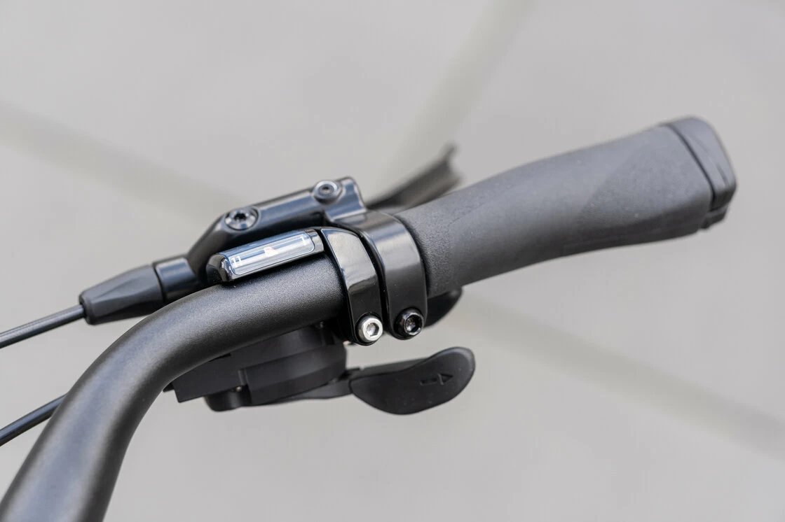 Rower na pasku Batavus Dinsdag Exclusive Plus Alfine 11