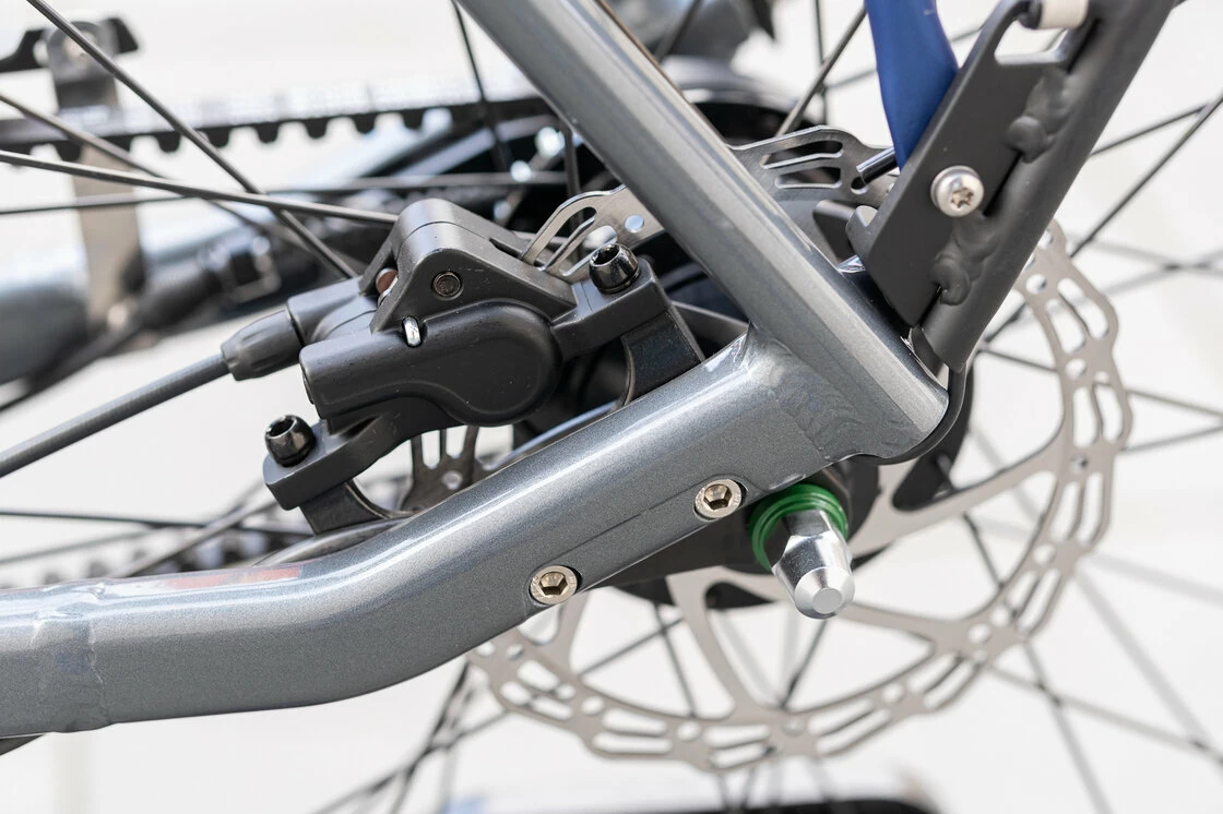 Rower na pasku Batavus Dinsdag Exclusive Plus Alfine 11