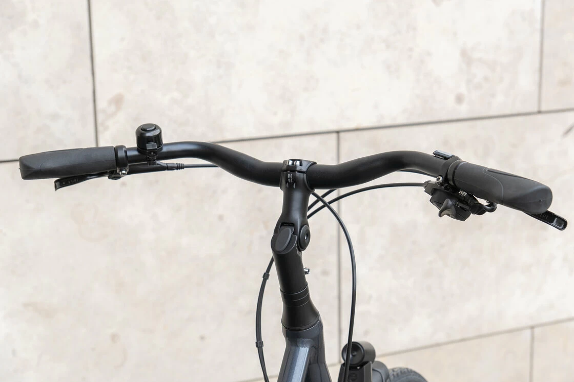 Rower na pasku Batavus Dinsdag Exclusive Plus Alfine 11