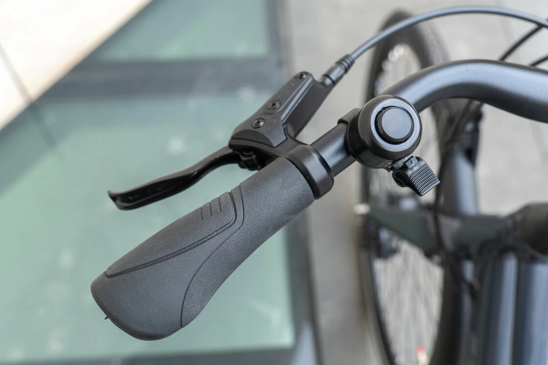 Rower na pasku Batavus Dinsdag Exclusive Plus Alfine 11