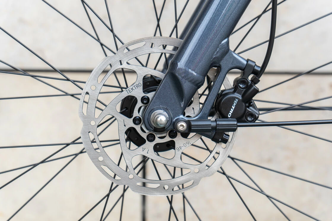 Rower na pasku Batavus Dinsdag Exclusive Plus Alfine 11