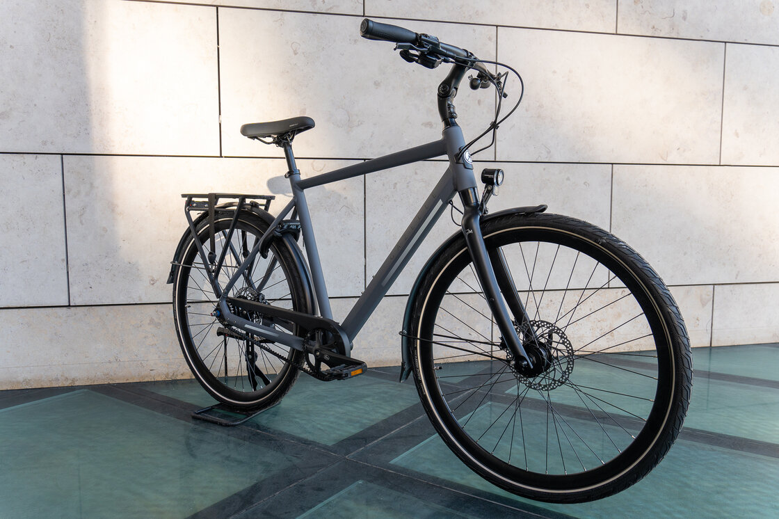 Rower na pasku Gazelle Chamonix S11 Alfine 11 Męski Cloud grey mat