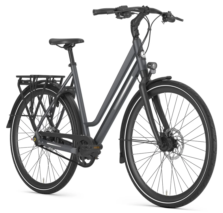 Rower na pasku Gazelle Chamonix S11 Alfine 11 Unisex Cloud grey mat