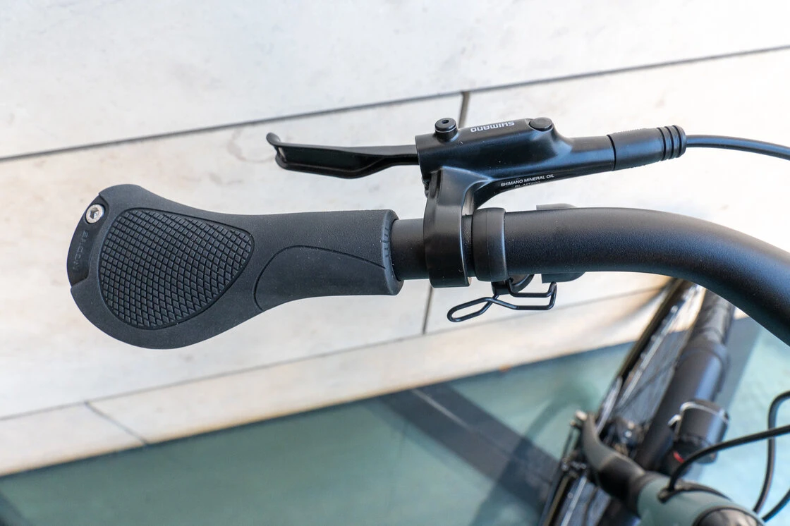 Rower na pasku Gazelle Chamonix S8 Alfine 8 Męski 61