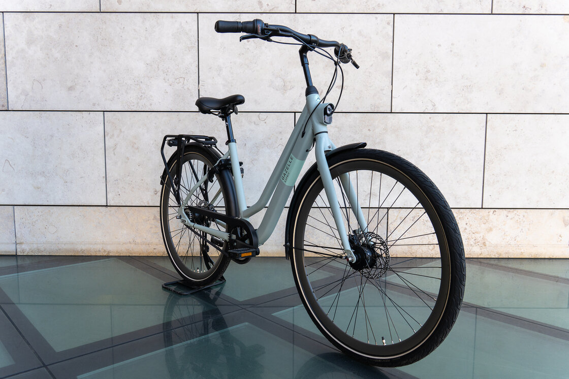 Rower na pasku Gazelle Esprit S7 Light olive mat