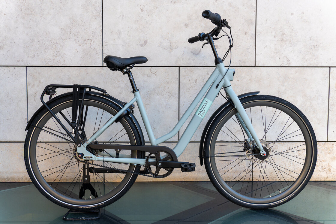 Rower na pasku Gazelle Esprit S7 Light olive mat