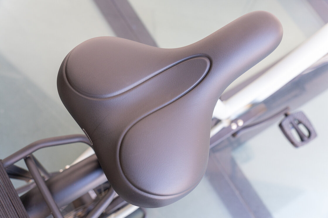 Rower na pasku Gazelle Esprit S7 Light olive mat