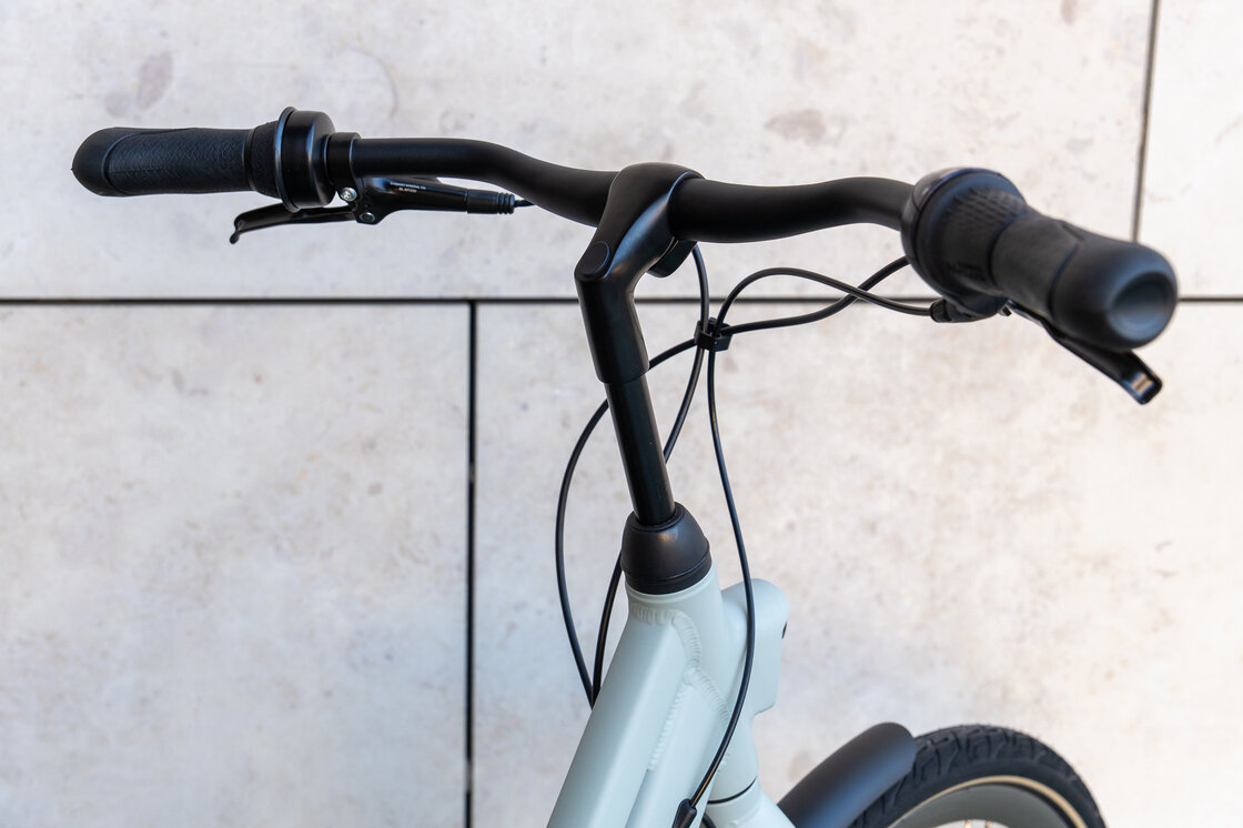 Rower na pasku Gazelle Esprit S7 Light olive mat