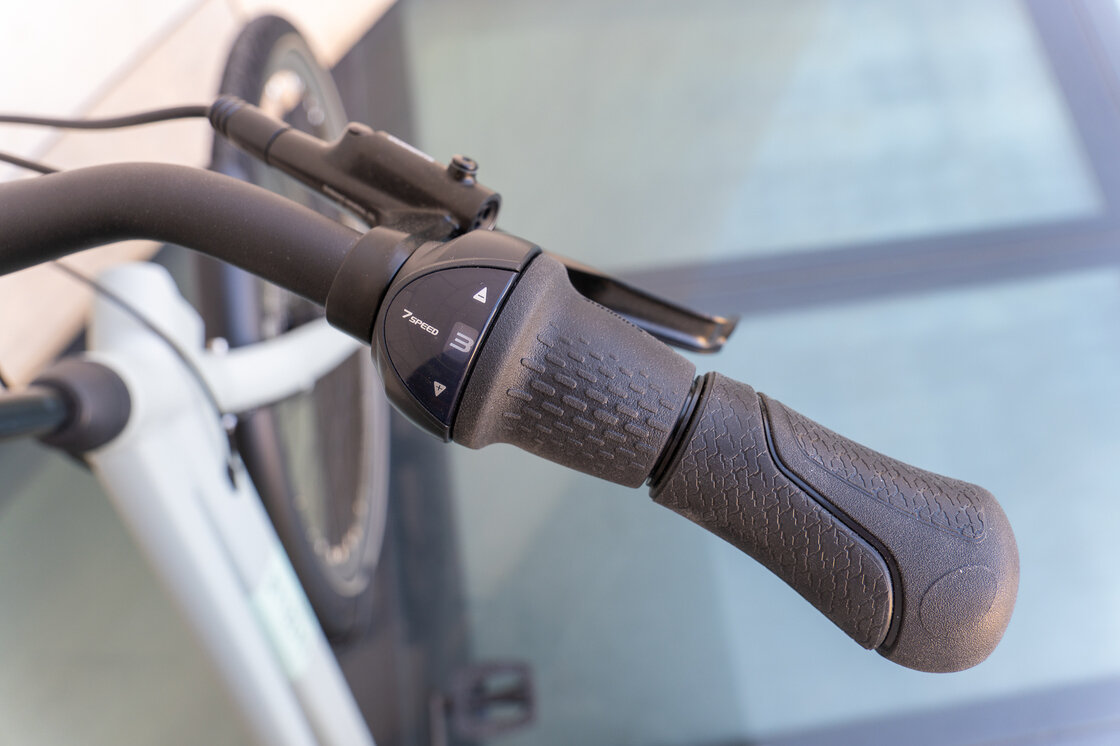 Rower na pasku Gazelle Esprit S7 Light olive mat