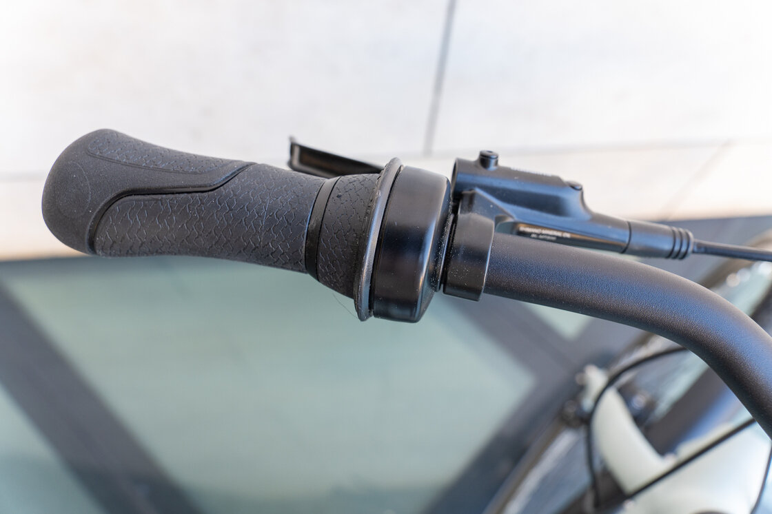 Rower na pasku Gazelle Esprit S7 Light olive mat