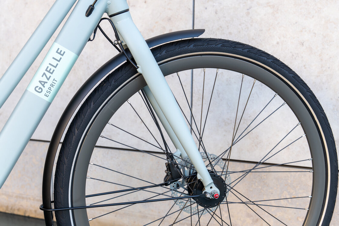 Rower na pasku Gazelle Esprit S7 Light olive mat