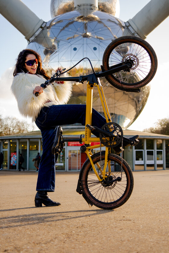 Rower składany Ahooga  A-MAX Derailleur Bumblebee