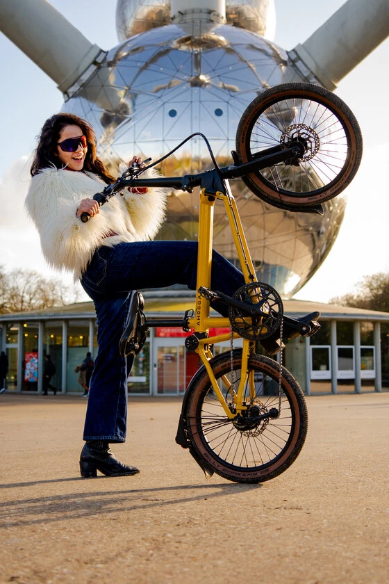 Rower składany Ahooga  A-MAX Derailleur 8 Bumblebee