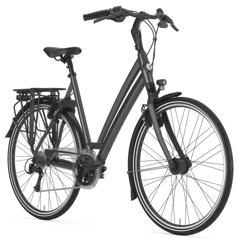 Rower trekkingowy Gazelle Chamonix T30 Unisex / Damski
