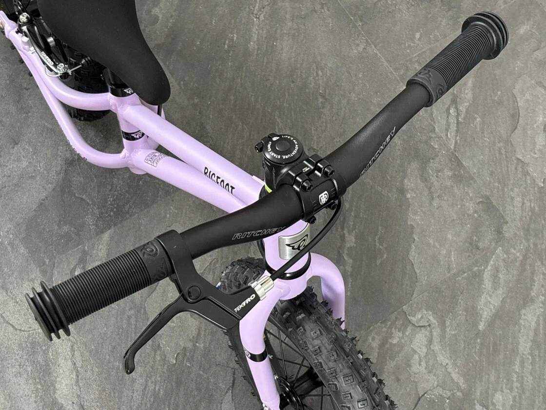 Rowerek biegowy Early Rider Big Foot 12"  Violet Haze