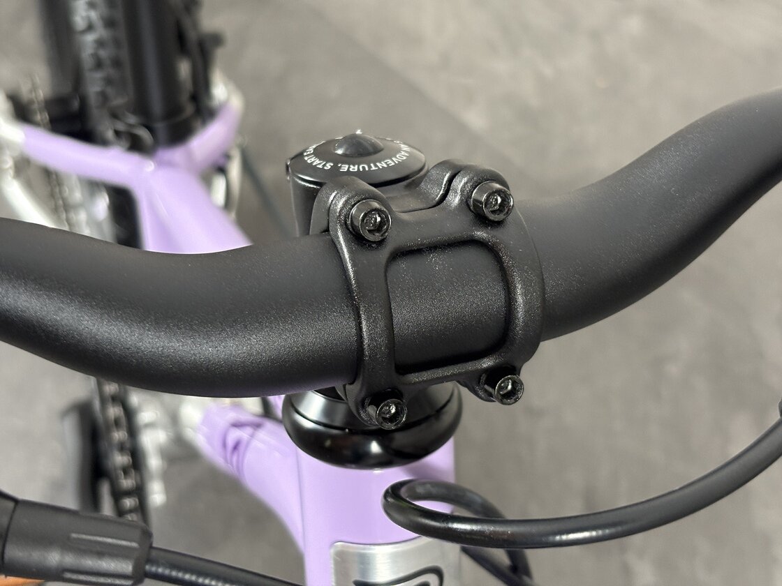 Rowerek dziecięcy Early Rider Seeker 14" 2026 Violet Haze/Brushed