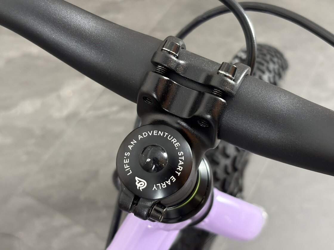 Rowerek dziecięcy Early Rider Seeker 14" 2026 Violet Haze/Brushed