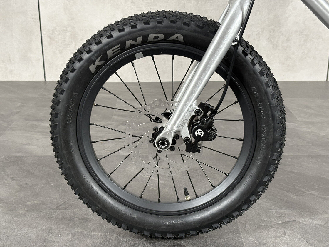 Rowerek dziecięcy Early Rider Seeker 16 2026 Brushed Aluminium