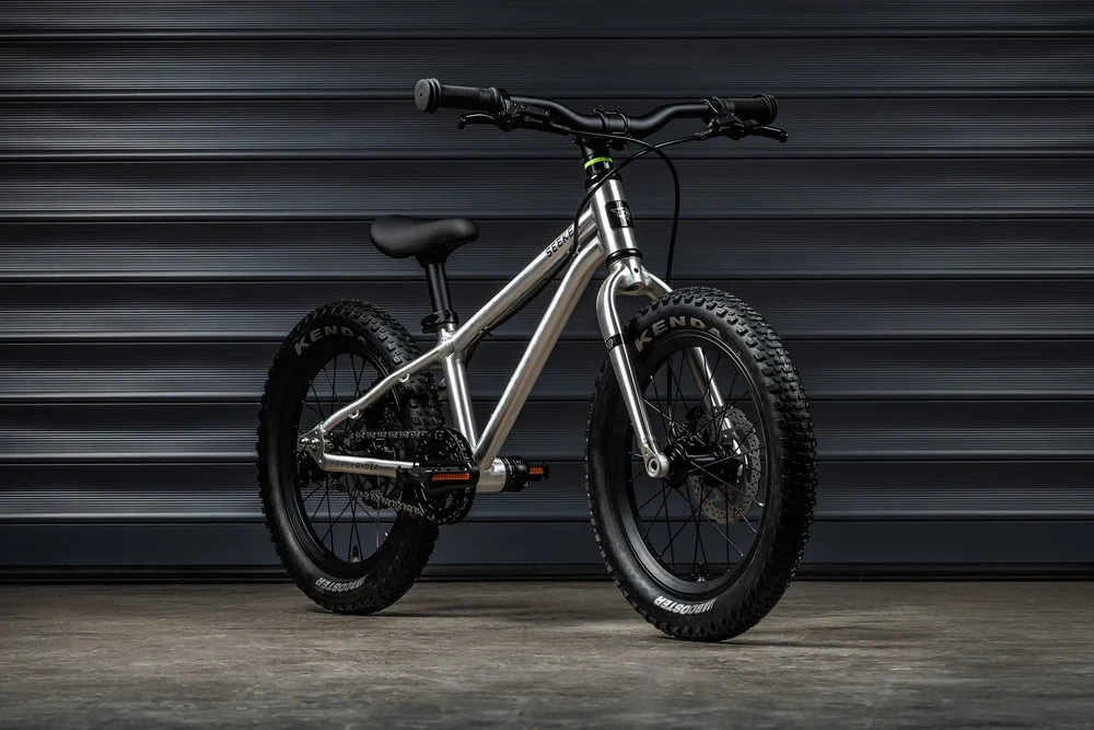 Rowerek dziecięcy Early Rider Seeker 16 25/26 Srebrny