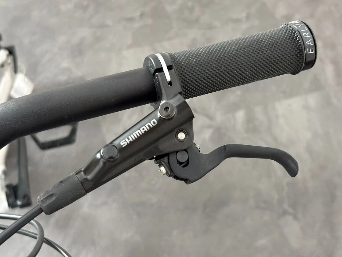 Rowerek Full Suspension Early Rider Hellion X20 Brushed