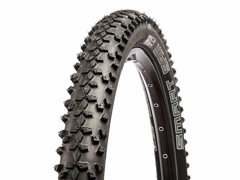 Schwalbe Smart Sam 24 x 2,10 (54-507) Performance