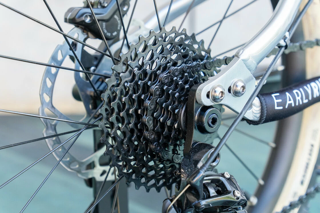 Trailowy rowerek dla dzieci Early Rider Hellion 20 srebrny