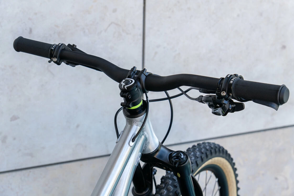 Trailowy rowerek dla dzieci Early Rider Hellion 20 srebrny