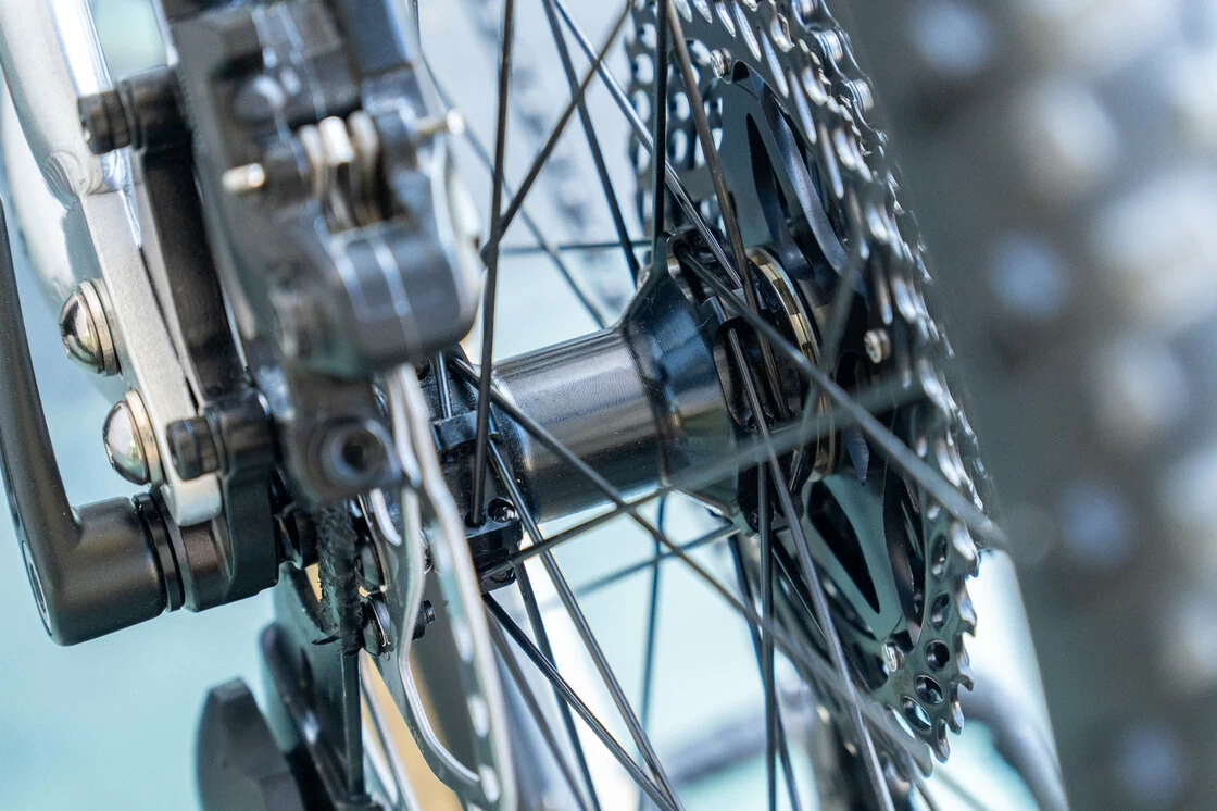 Trailowy rowerek dla dzieci Early Rider Hellion 20 srebrny