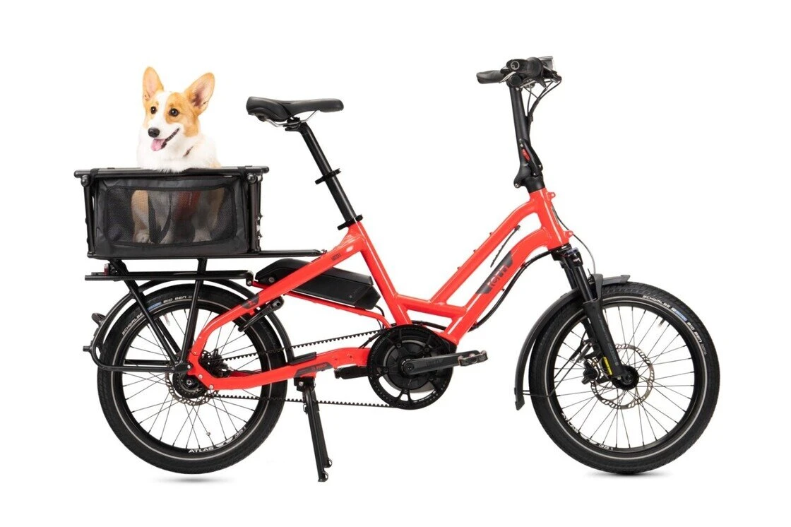 Transporter rowerowy TERN Mini dla psa