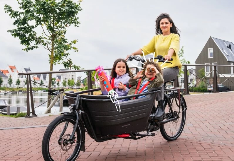 Transportowy rower elektryczny Batavus Fier 2