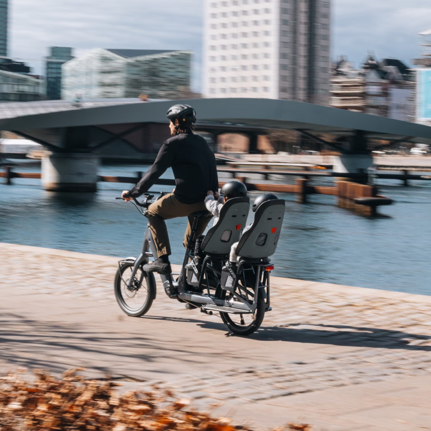 Tylny fotelik rowerowy Thule Yepp Nexxt 2 maxi na bagażnik Momentum Grey