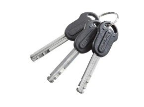 U-lock Kryptonite Evolution LITE Mini-6
