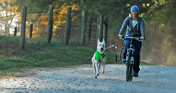 Zestaw rowerowy Dogrunner Altranet + smycz