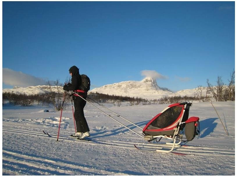 Zestaw Thule Chariot CTS Narty  / Płozy Ski Set