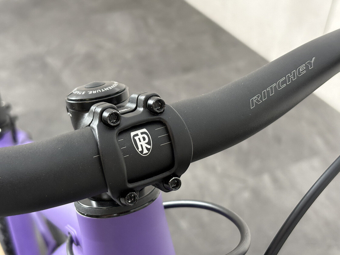 Zjazdowy rowerek dla dzieci Early Rider Hellion 24 fioletowy